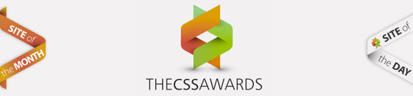 CSS Awards: Site of the Day for Dribbble Infographic