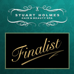 Stuart Holmes: Website Innovation Finalist 2010