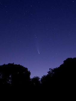 Comet Neowise at Dusk